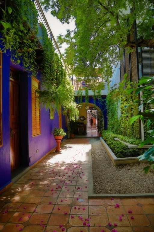Casa De Isabella, A Kali Hotel Σάντα Μάρτα Εξωτερικό φωτογραφία